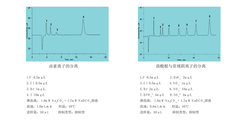 上海舜宇恒平IC1800離子色譜儀